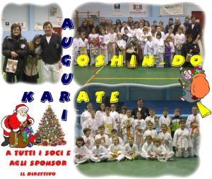 augiri goshin-do 2011