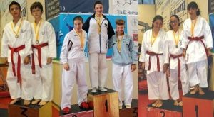2013 collage 2 young cup