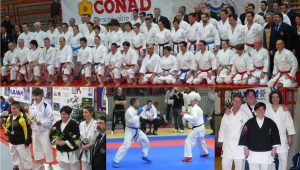collage cn master