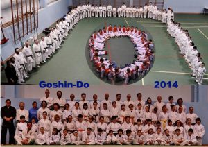 collage societ 2014