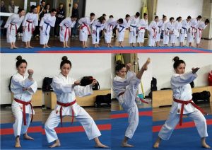 2014 fr kata eb collage