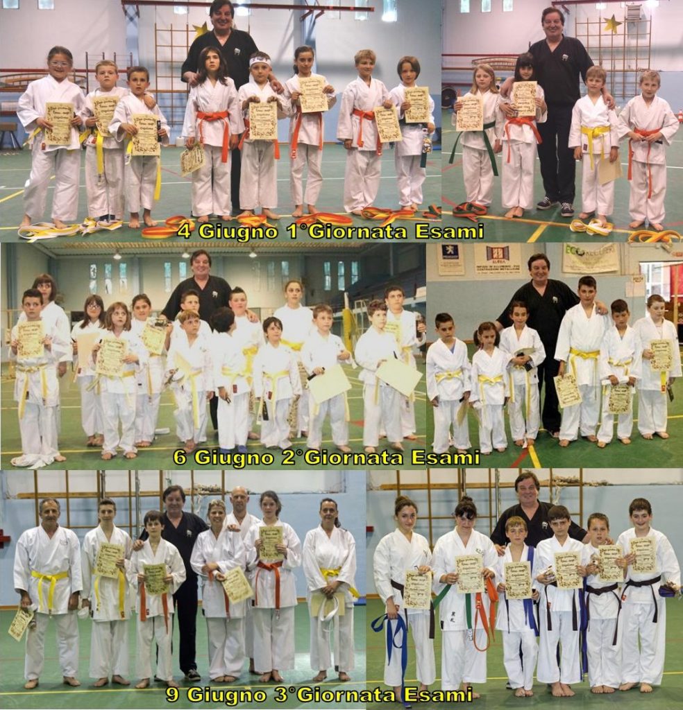 2014-collage esami kyu