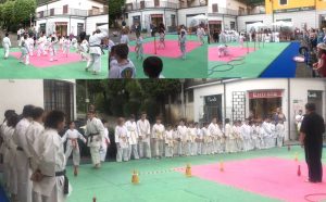 collahe gd sport